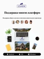 4G поворотная IP-камера 2Мп+2Мп, 20X-зум, ночь 250м, звук, MicroSD IZIVIEW-R26RU 4G ZM